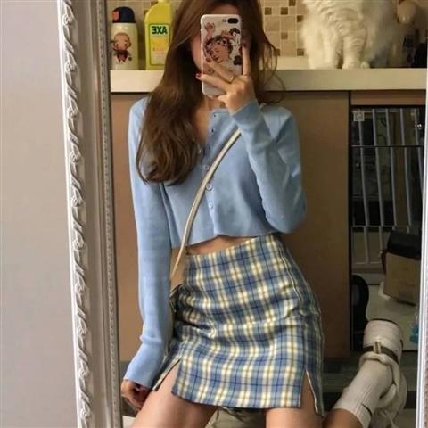 Chic Plaid Skirt