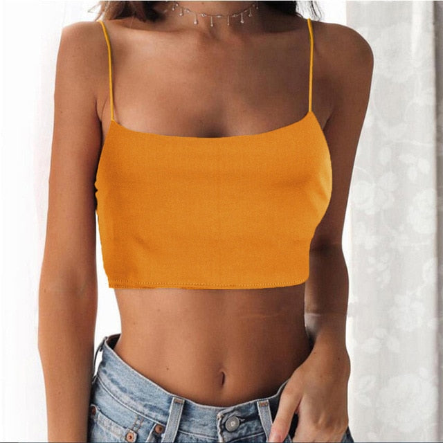 Secundum Top